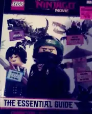 Ninjago story book