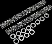 Race Tech Fork Spring 0.46 kg/mm Pair for BMW G450X 09-10