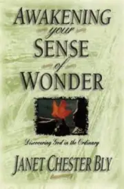 Awakening Your Sense of Wonder: Discovering God Through the Ordinary