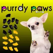 Soft Nail Caps For Dog Claws ( BUMBLE BEE Combo ) Purrdy Paws * up to XXL