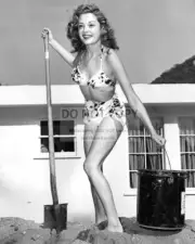 ACTRESS JANE GREER PIN UP - 8X10 PUBLICITY PHOTO (OP-929)
