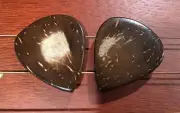 2 Coconut Shell Guitar Picks+ Martin D18 D28 D35 D45 Strings Acoustic Guitar ART