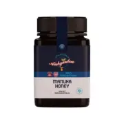 Aubgarden Manuka Honey 500g