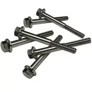 RPM Titanium Clutch Cover Bolts for Switchback 600