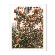 My Citrus Framed Printed Wall Art - White