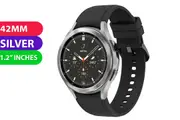 Samsung Galaxy Watch 4 Cellular (42MM, Silver) - Used (Excellent)