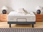 Madison Times Square Mattress - King Single / Plush