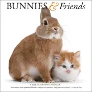 Gladstone Media, Bunnies and Friends 2025 Wall Calendar