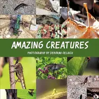 在飛比找博客來優惠-Amazing Creatures