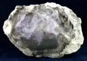 451 GR PURPLE OPAL DENDRIDIC CREME PURPLE BERTRANDITE SONORAN MORADO OPAL ROUGH
