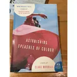 【晃晃書店】〈二手英文〉 CLARE MORRALL 《ASTONISHING SPLASHES OF COLOUR》