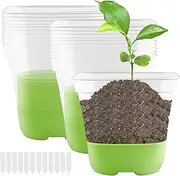 Sporgo Pack of 12 Propagation Pots: Transparent Plant Pots Orchid Pots with Silicone Base and Label, Reusable Square Plastic Flower Pots with Drainage Hole for Plants Seeds Seedling
