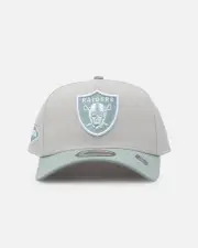 [New Era] New Era Las Vegas Raiders 'Sea Glass' 9forty A-frame Snapback Stone/green - Size ONE ONE Stone/Green