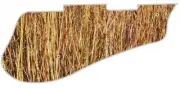 Pickguard Pick Guard 5120 Graphical Graphic Guitar Grassy Outlook