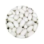 Lolliland Sugar Coated White Almonds 1kg x 1