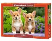 Puzzle 1000 elementów. Welsh Corgi Puppies