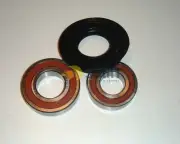 BEARING SET NEFF 00086309 086309