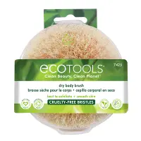 在飛比找iHerb優惠-[iHerb] EcoTools 乾刷，1 把