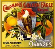 Covina Chapman's Golden Eagle Orange Citrus Fruit Crate Label Vintage Art Print