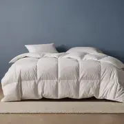 Sienna Living Summer 80% Duck Down 20% Duck Feather Quilt