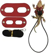 SUPVOX 2 Set Lizard Harness Reptile Hauling Rope Pet Chest Leash Without Wing Harness for Small Reptiles