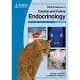 BSAVA Manual of Canine and Feline Endocrinology