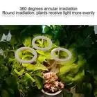 LED Plant Grow Lights Full Spectrum USB Growing Light Timing 5 Level Dimming