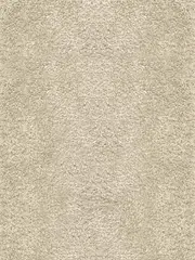 Cosy Taupe Shaggy