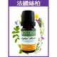 【歐丹尼】法國絲柏精油10ml-單方純精油