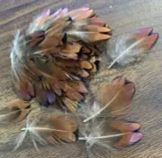 50pcs Natural Petite 3-4cm Pheasant Plumage Feathers DIY Art Craft Jewellery