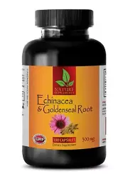 Echinacea & GoldenSeal Root 200mg. Help Stimulate Immune System (1 Bottle)