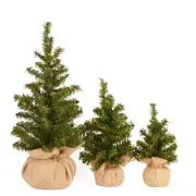 Set of 3 Assorted Size Tabletop Pine Trees with Burlap Bases