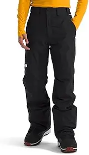 The North FACE Mens Freedom Insulated Pants