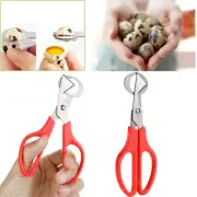 Pigeon Quail Egg Scissors Cracker Opener Cutter Egg Cutter Stainless Steel Cutte