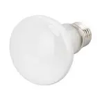 E27 UVA Reptile Heat Lamp Bulb For Reptile Amphibian Bearded Dragons Turtles AU