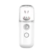 30ml Mist Sprayer Steamer Humidifier Portable USB Rechargeable Face5352
