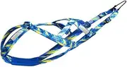 Outdoor Dog Sled Chest Strap Set with Adjustable Pet Leash for Secure Walking & Travel