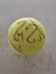 Roger Federer Signed Large Display Tennis Ball LAI COA Clear Tennis Autograph