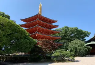 春吉町屋旅行莢飯店