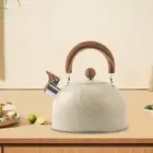 Loud Whistle Tea Kettle Anti Rust 2.8 Liter Whistling Pots for Stove Top