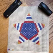 Hand Painted needlepoint canvas - "Patriotic Star" 10" X 10"