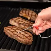 New~GrillPro Bluetooth Grill Thermometer -13 to 572 deg F, Digital Display 13975