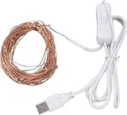 USB Copper Wire String Lights, 100 LEDs 10m/32.8ft DIY Safe USB Fairy String Lights for Outdoor
