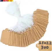 Brown Paper Price Tags with Strings (Brown 300)