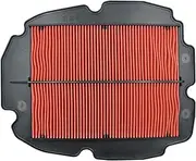 AHL Air Filter for Honda VFR800 VFR 800 Interceptor 1998 1999 2000 2001 2002 2003 2004 2005 2006 2007 2008 2009,17210-MBG-000 17210-MCW-D00 17210-MCW-D01