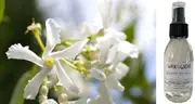 Jasmine & Magnolia - Room Spray