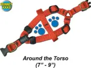 Step-In Ferret Harness - Ferret Size -Extra Extra Small - Asst colors - PTH38SAH