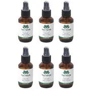 6xTwo Hands 100ml Hand Sanitiser Alcohol 60% Antibacterial Mist Spray Sanitizer