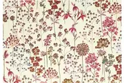 Peter Pauper Press Boxed Blank Note Cards - Wildflower Meadow 332387