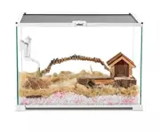OiiBO Knock-Down Glass Reptile Habitat Terrarium 360 Deg Visually 15 Gal ATL125